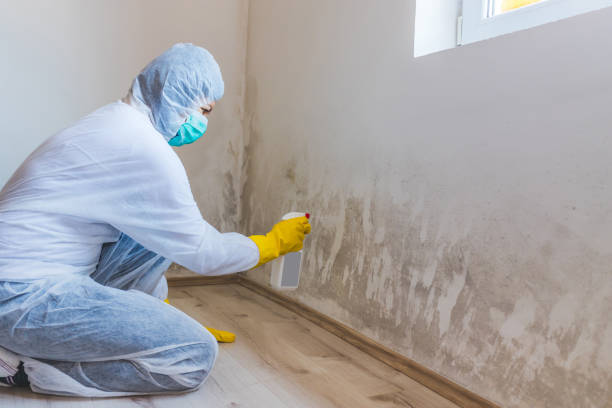 Hvac And Air Duct Mold Remediation inspection of HVAC system in Ottsville