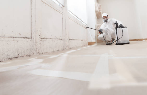 Black mold remediation team in Ottsville