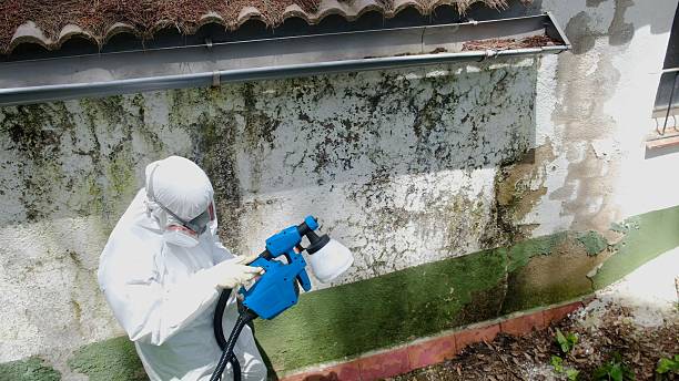 Mold Remediation service in Ottsville, Ottsville, PA